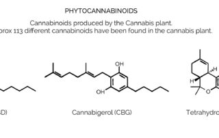 Chemical Structure of CBD, CBG and THC
