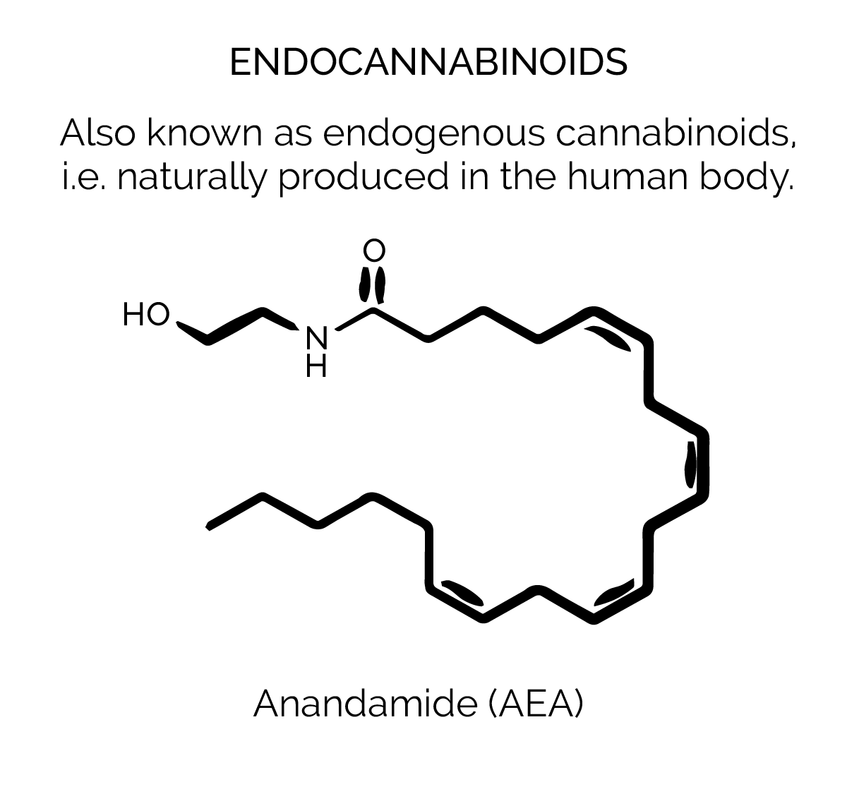 The chemical structure for Anadamide AEA