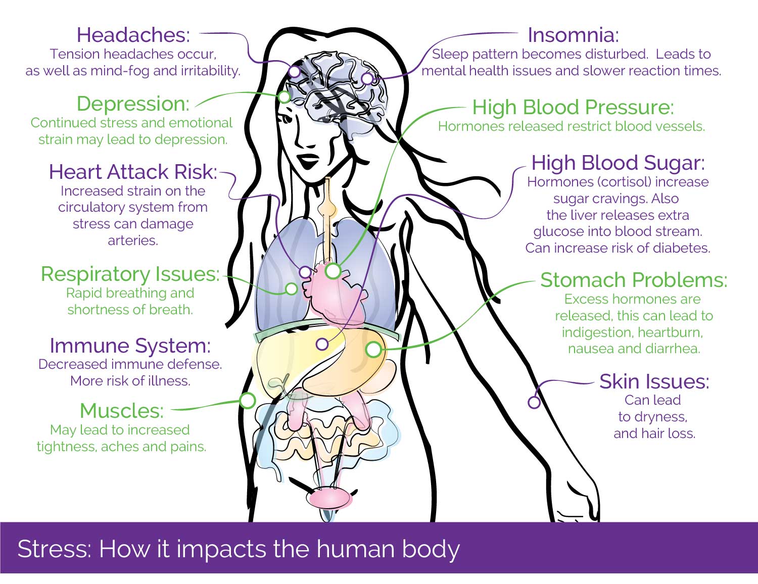 how stress impacts the body: headaches, depression, heart attack risk, respiratory issues, immune system, muscles, insomnia, high blood pressure, high blood sugar, stomach problems, skin issues