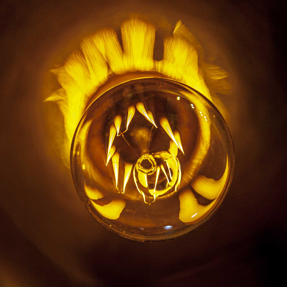glowing filaments in a light bulb